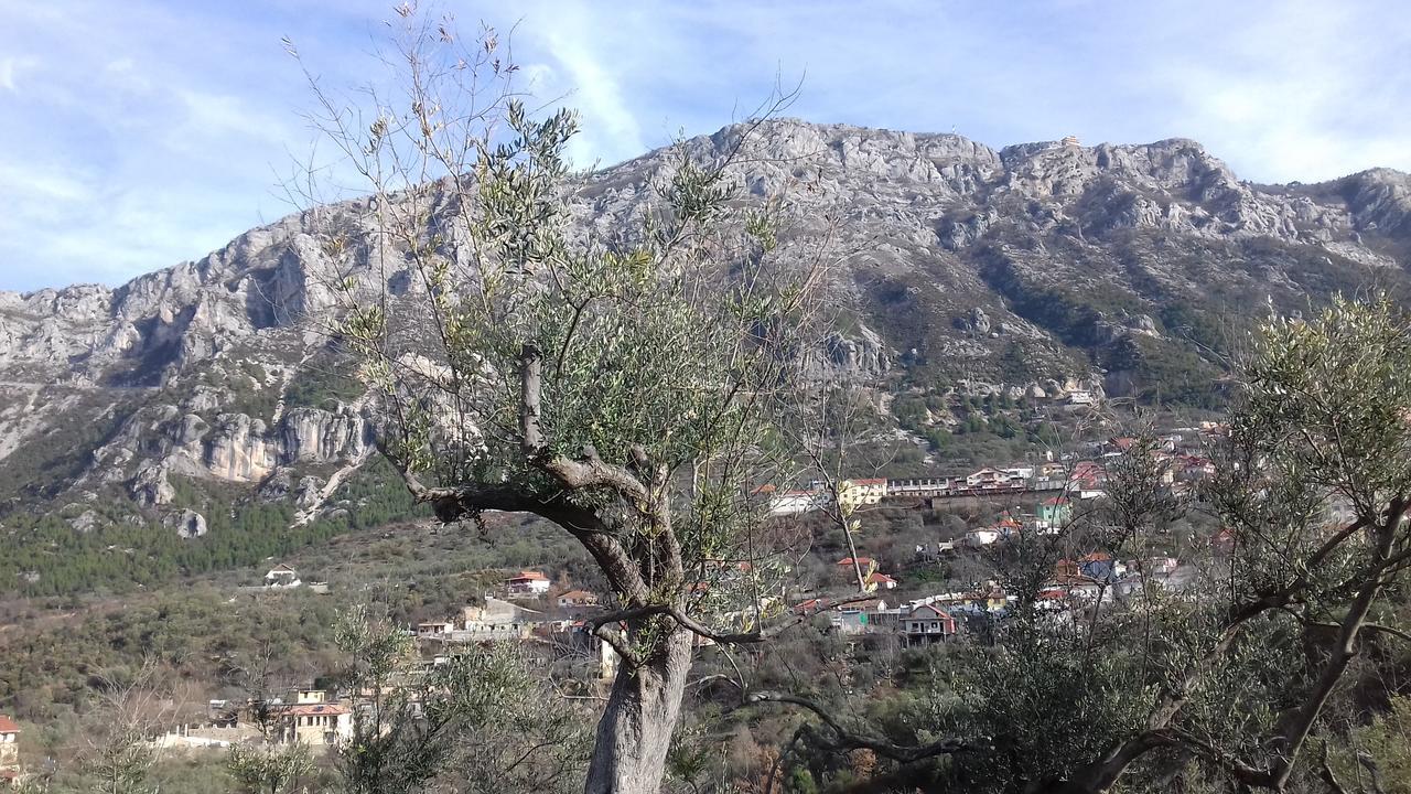 Kruja Hostel Eksteriør bilde